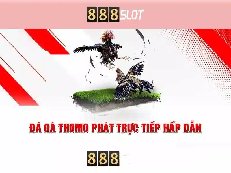 Danh mục slot đa dạng và các nhà cung cấp uy tín