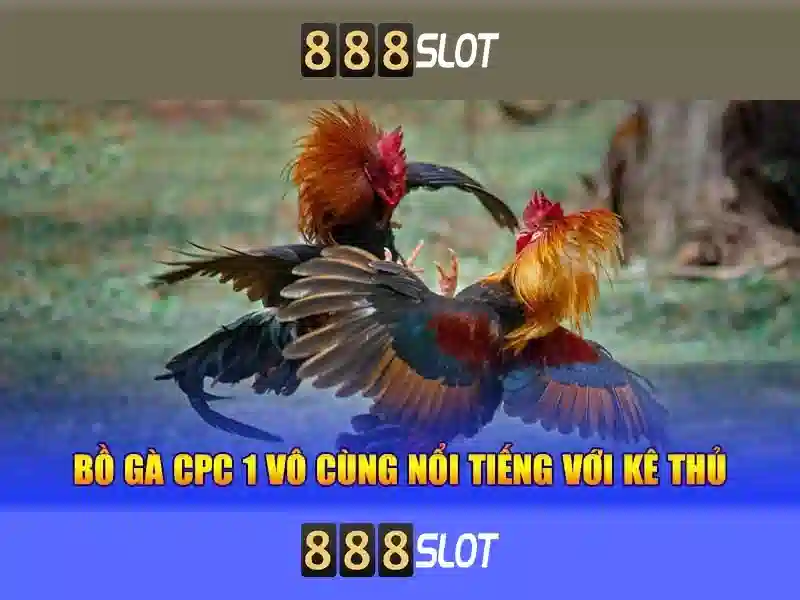 Slots phổ biến