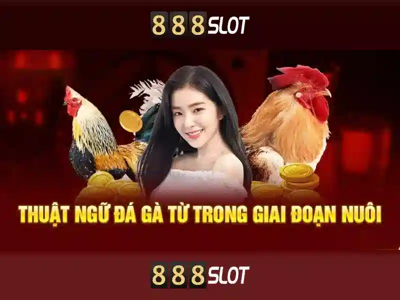 Tại sao chọn 888slot cho trải nghiệm slot