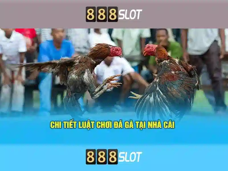 Ưu điểm của 888slot