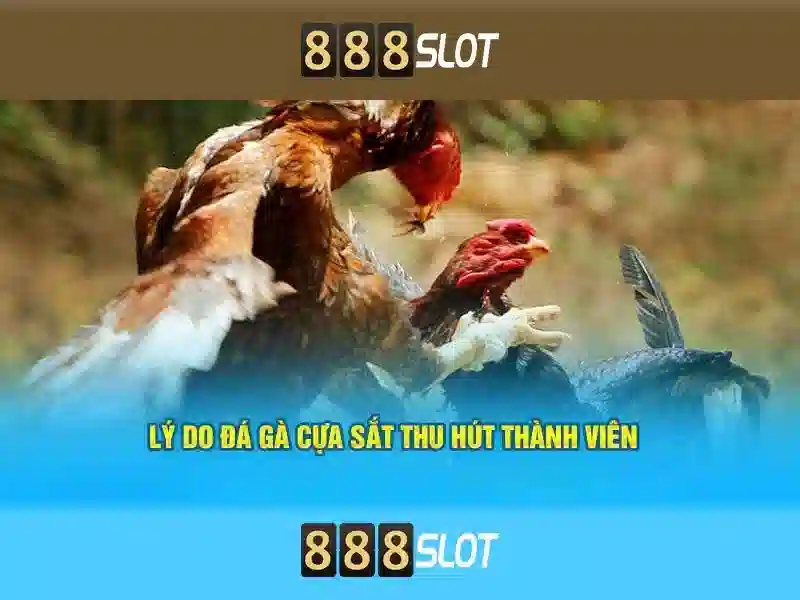 Nền tảng và bảo mật