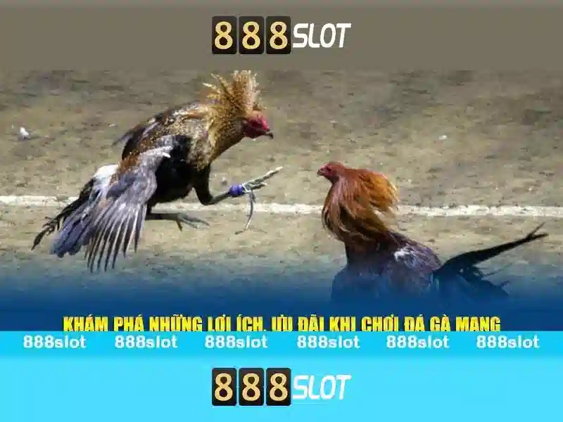 Việt Vị Trong Bóng Đá