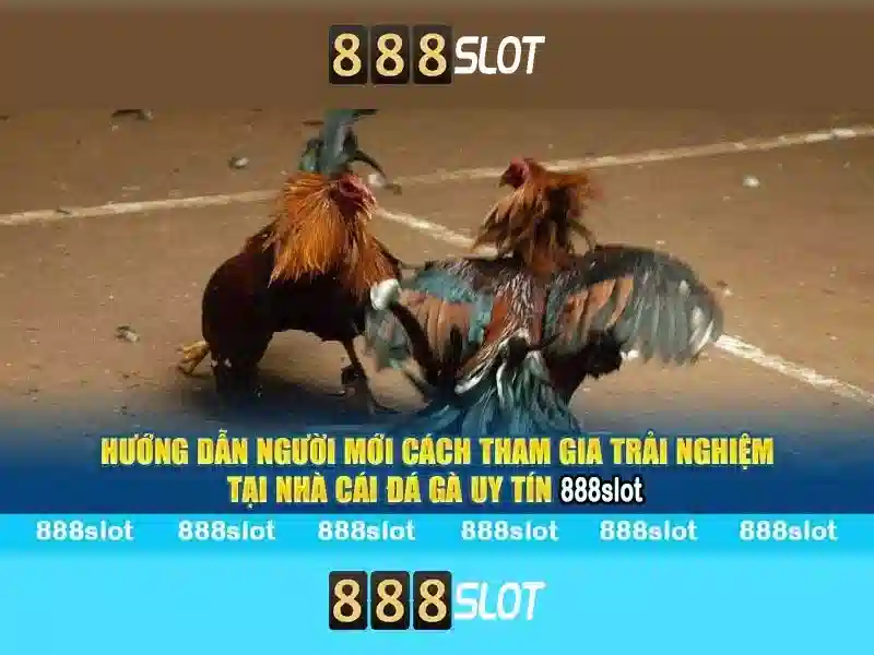 Giao diện và trải nghiệm người dùng\n
