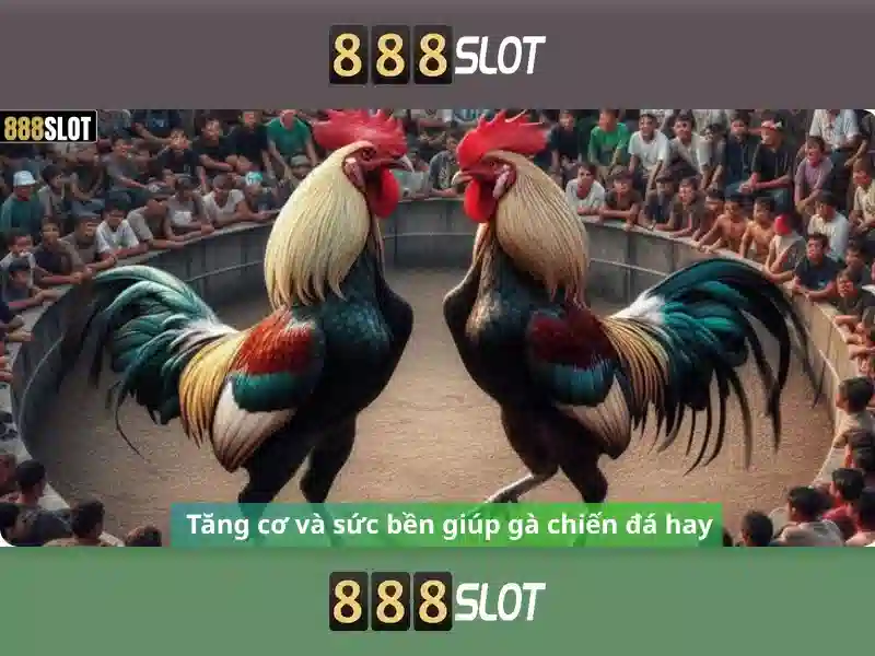 An toàn thanh toán và bảo mật
