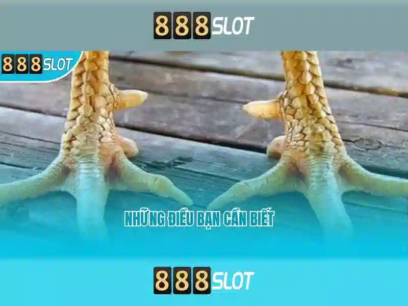 Giới thiệu về 888slot\n