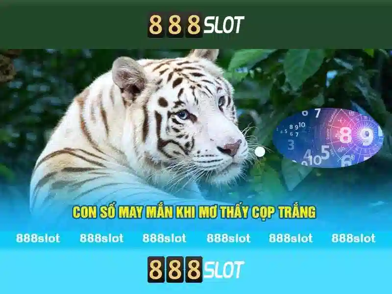 Giới thiệu về 888slot