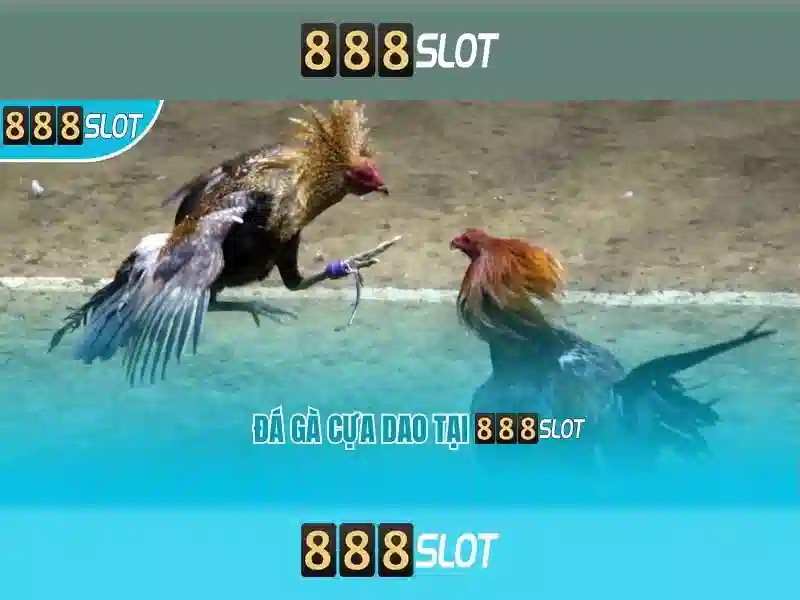 Việt Vị Trong Bóng Đá