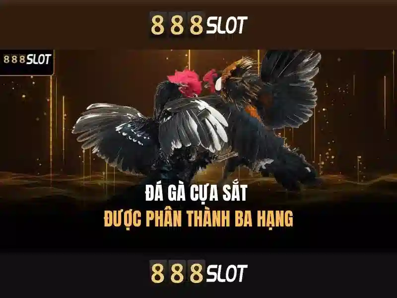An toàn và thanh toán