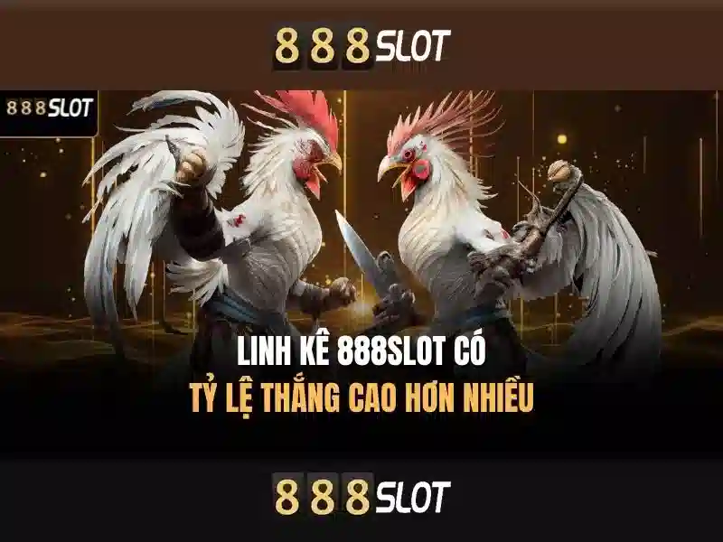 888 slot races – tổng quan chủ đề và giá trị cốt lõi
