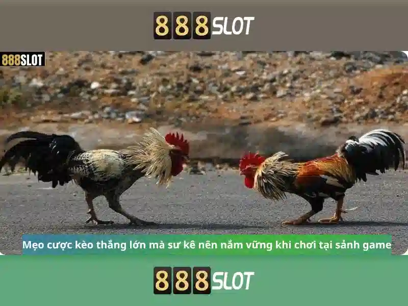 Việt Vị Trong Bóng Đá