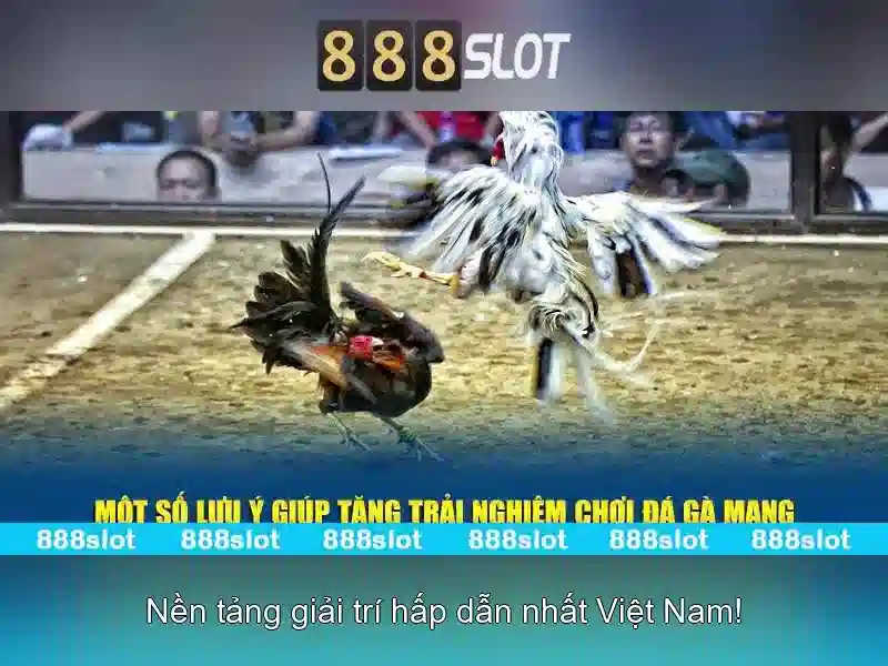 Việt Vị Trong Bóng Đá