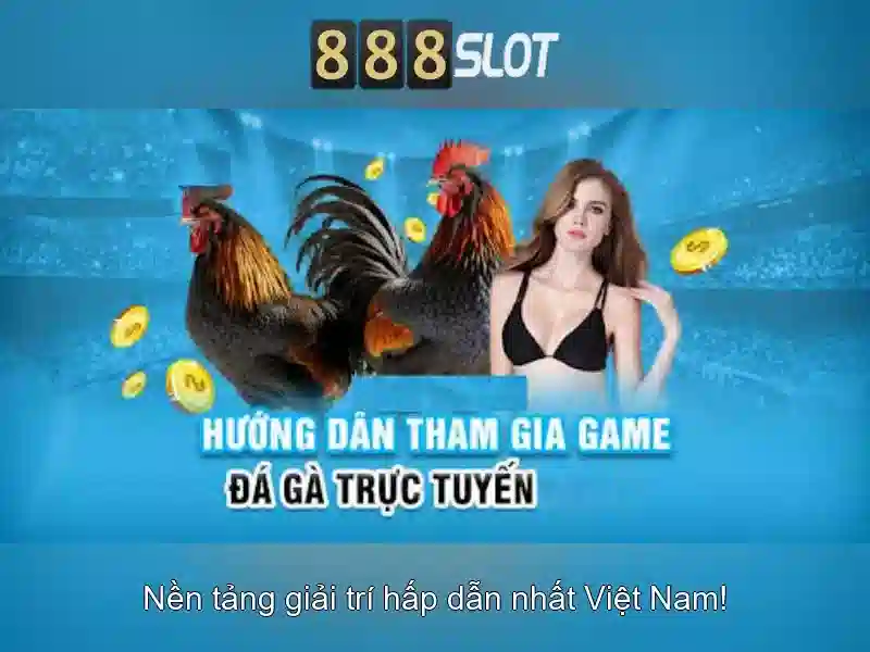 Cách tham gia và thanh toán