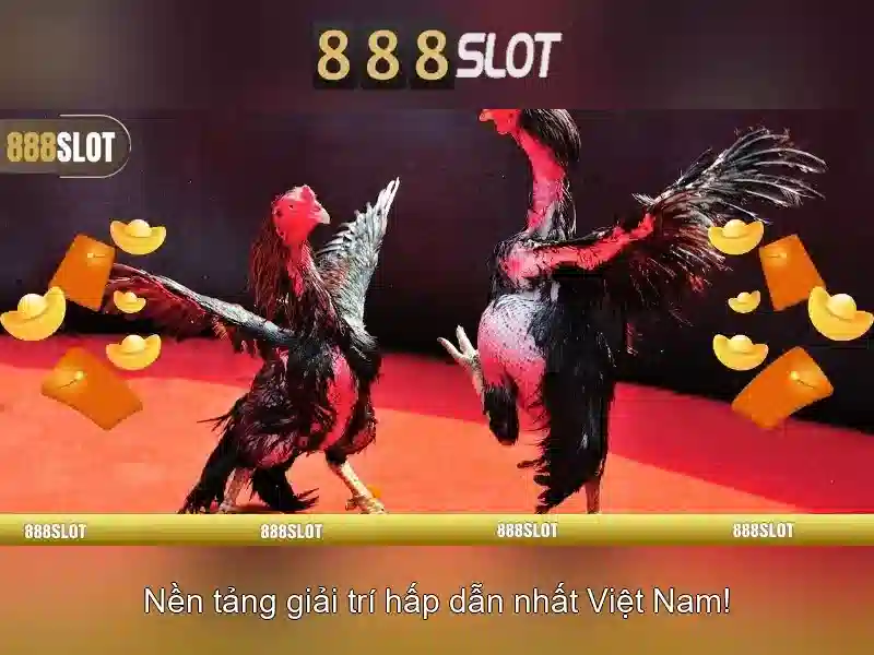 Hỗ trợ khách hàng và thanh toán
